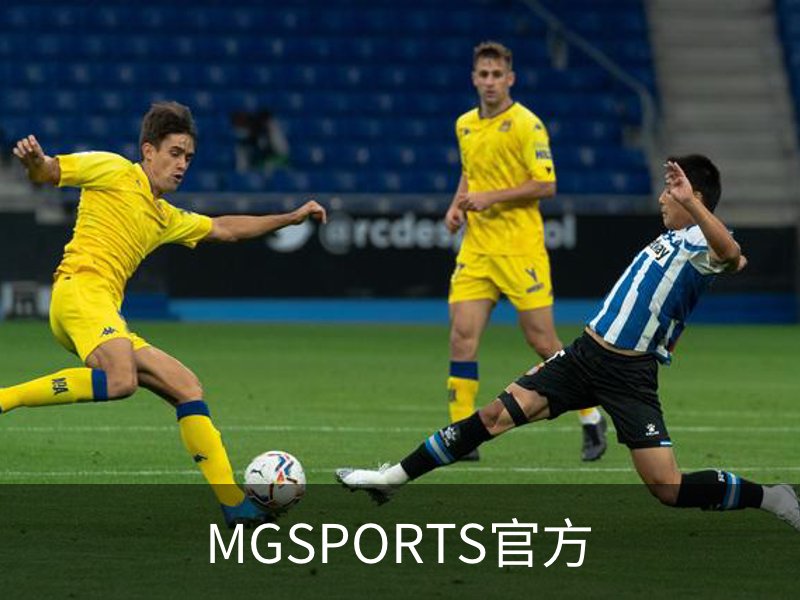 了解MGSPORTS官方